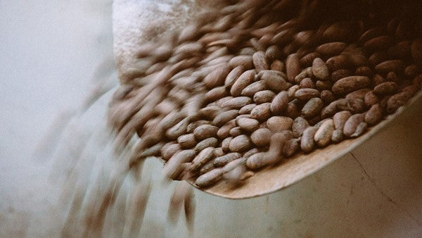 Nuestra posición sobre el “comercio justo”