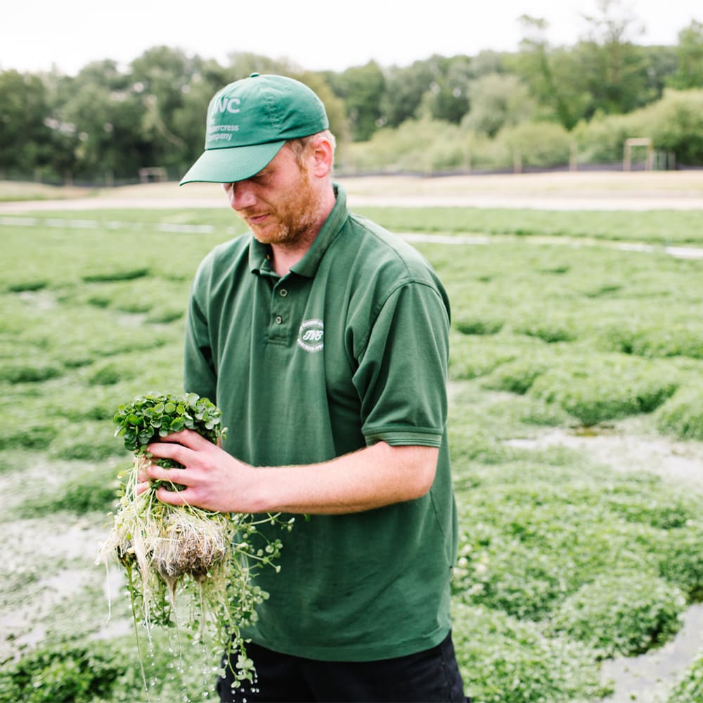 Nuestra política: Somos frescos, la frescura nos define.