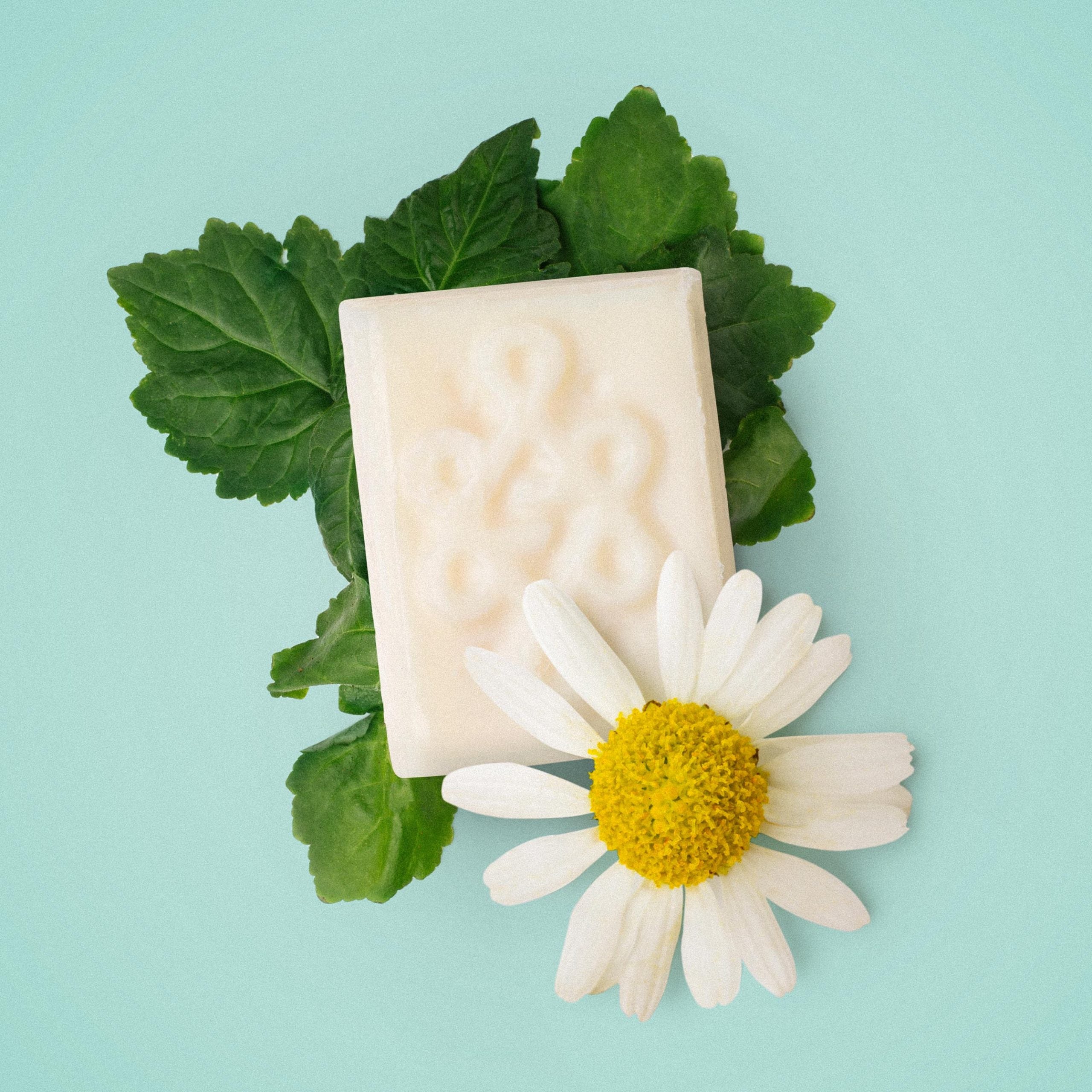 Desodorantes naturales: trabajando con la naturaleza