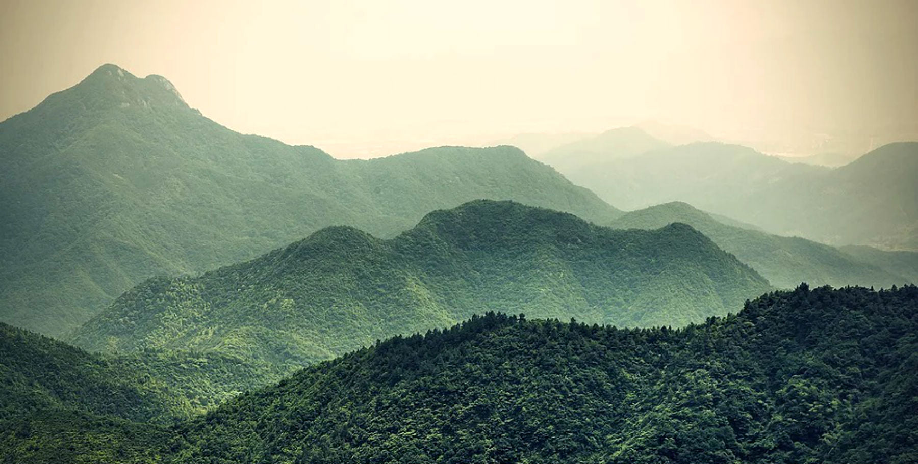 Principios de sustentabilidad: Dejando el mundo mejor de lo que lo encontramos