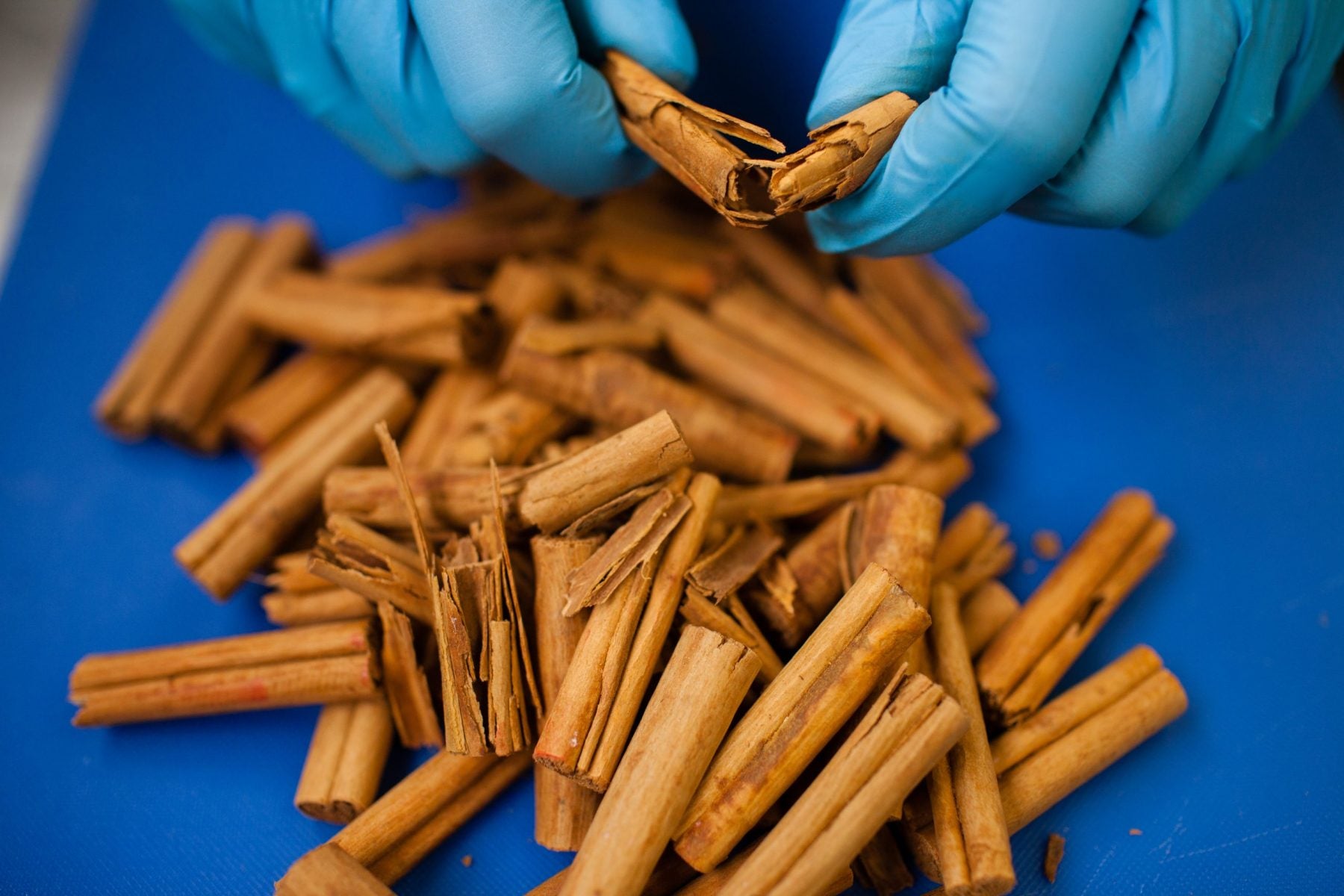 La guía de ingredientes naturales que cuidan de tu pelo