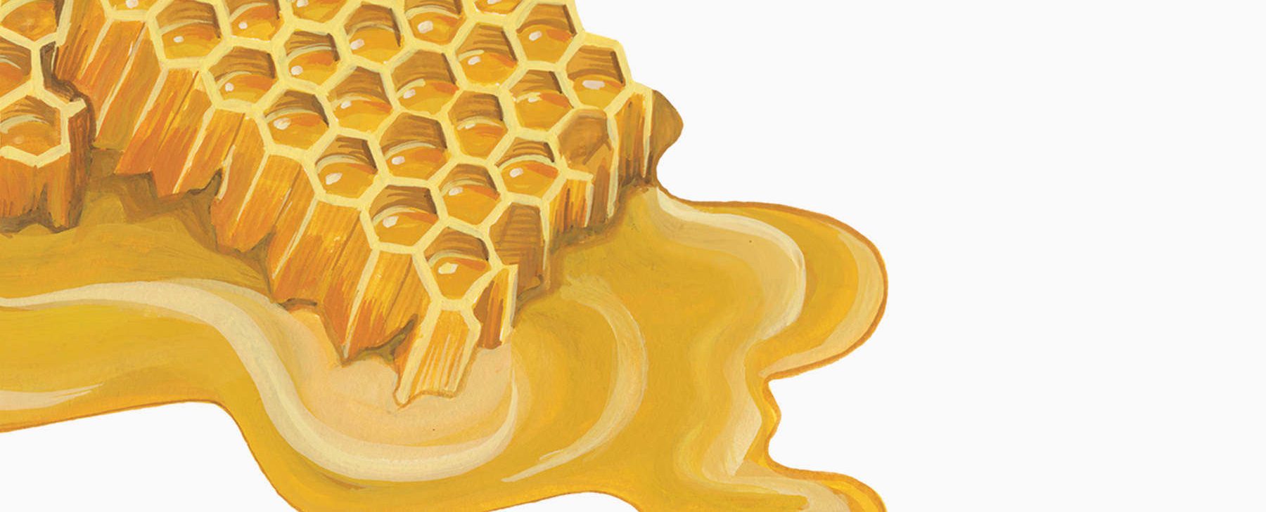 Glosario de autoconservación