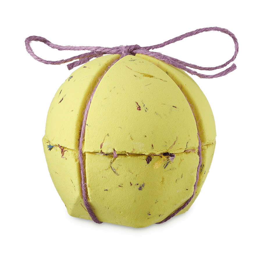 Carey's Secret Garden