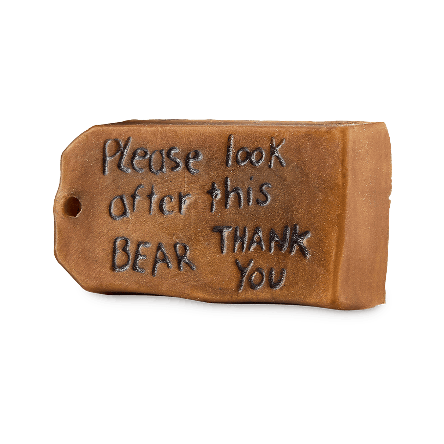 Please Look After This Bear