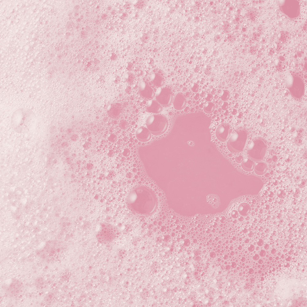 Shower Of Falling Cherry