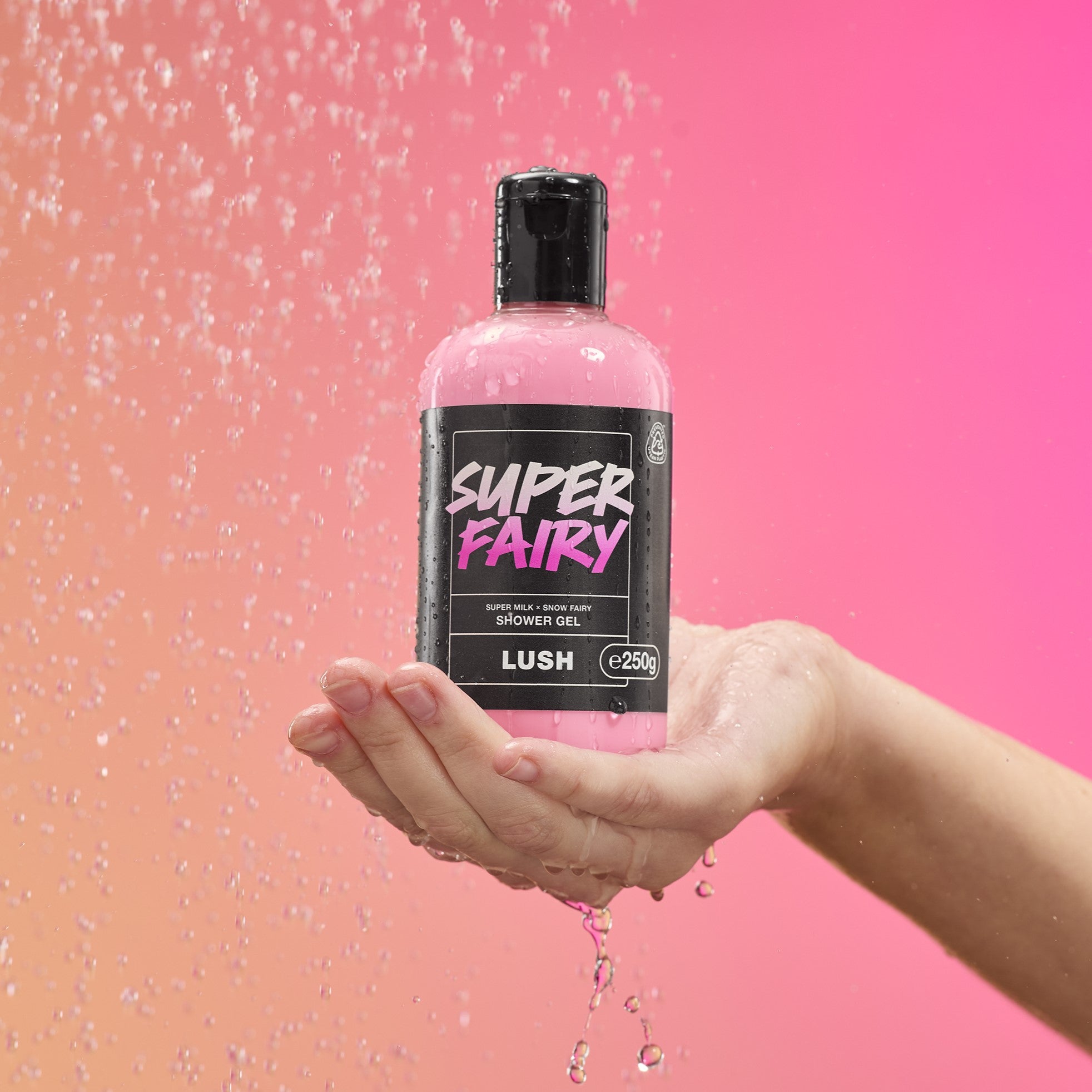 Super Fairy