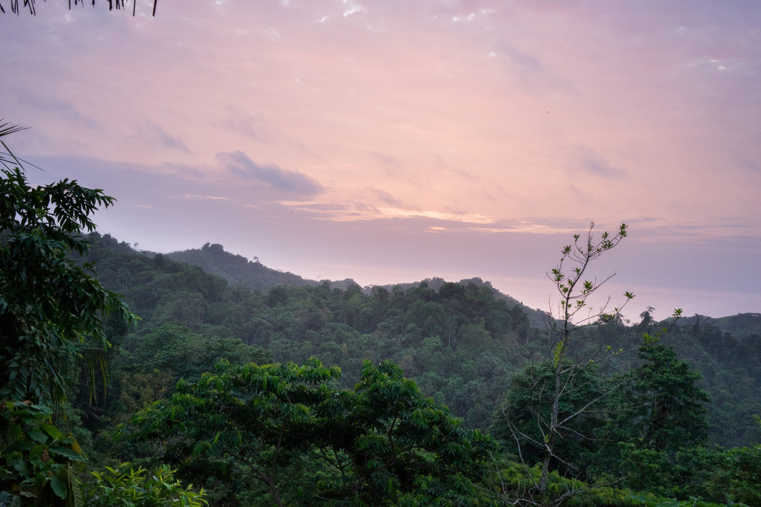 Nuestra política ambiental