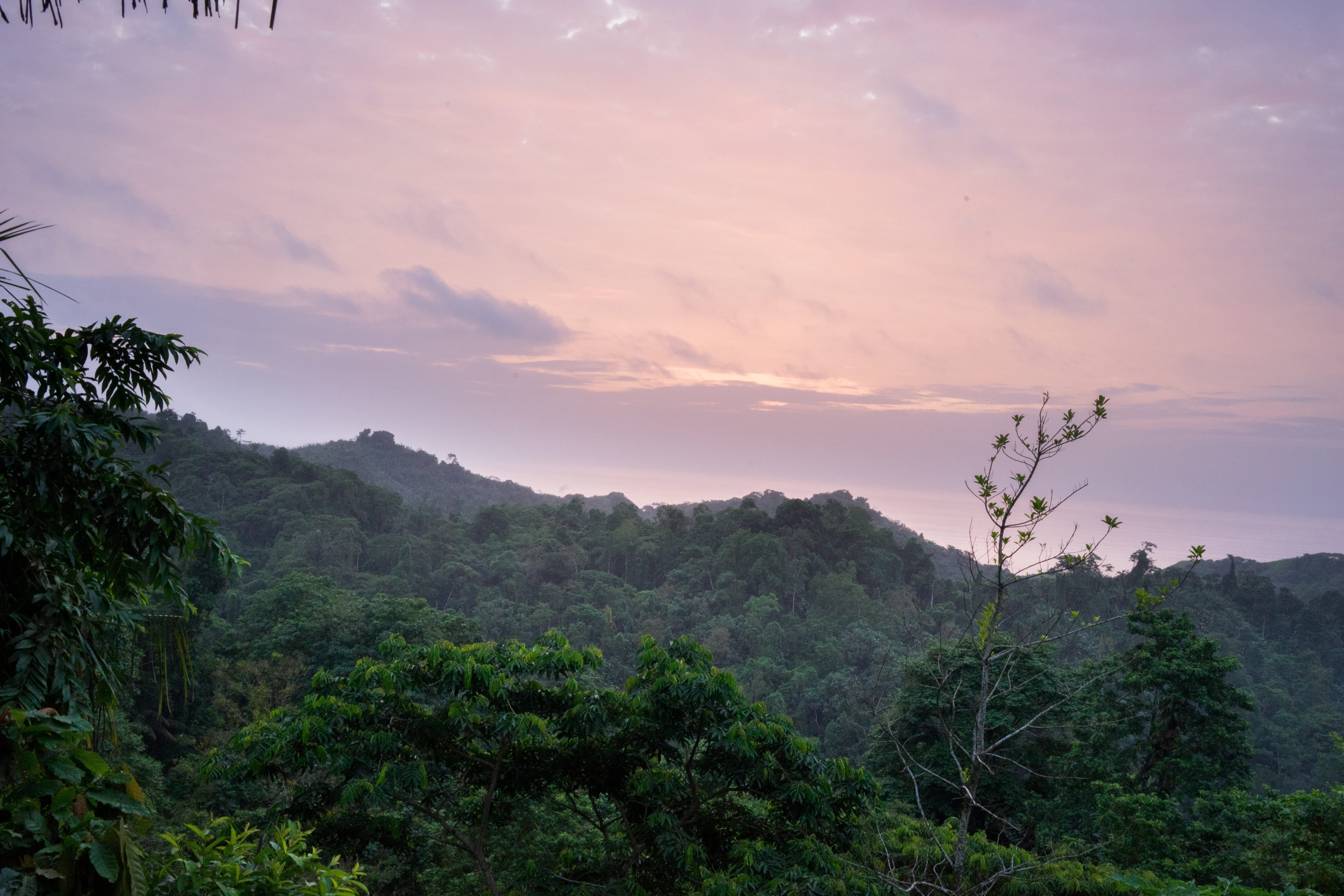 Nuestra política ambiental