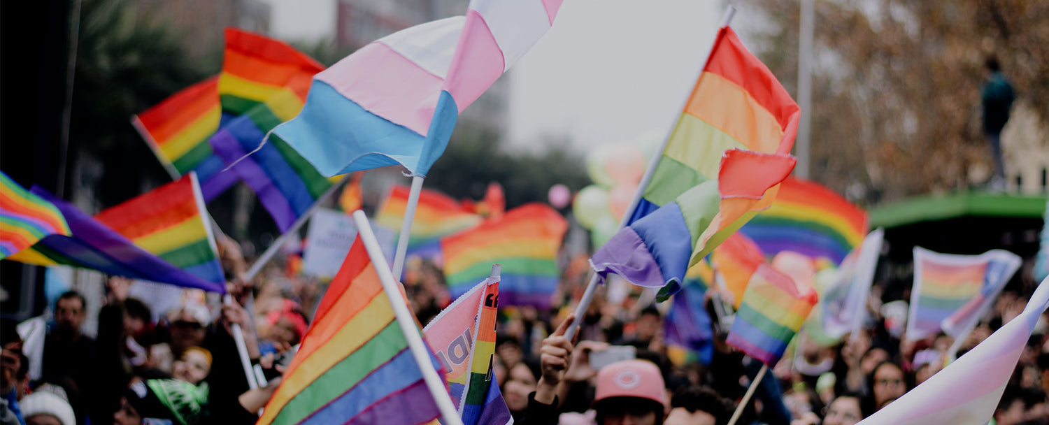 Estamos aquí, Somos Queer