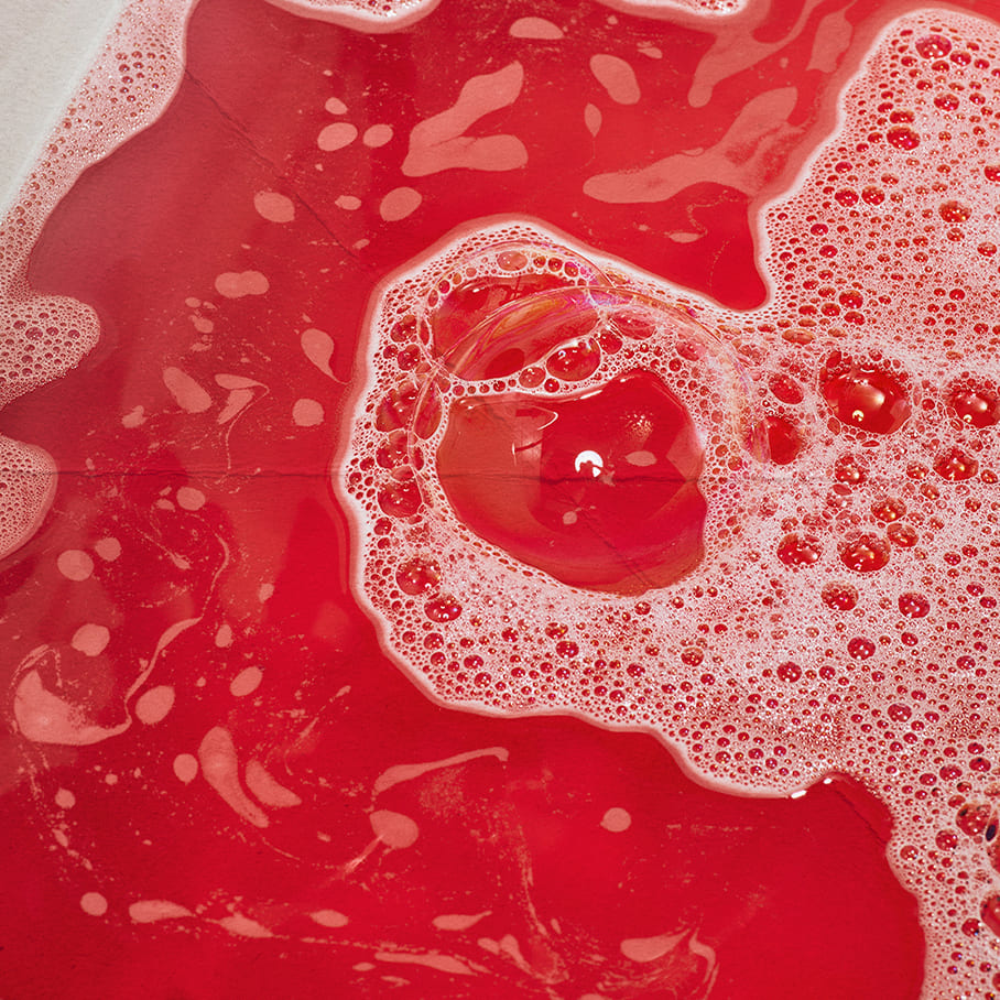 Lord of Misrule