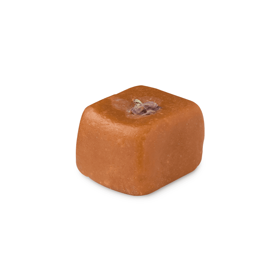 Maple Sugar Cube