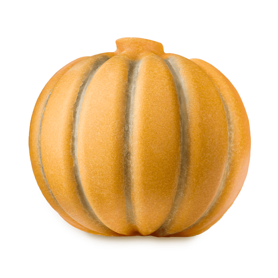 Pumpkin Scrubee
