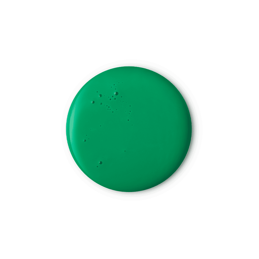 Lord Of Misrule