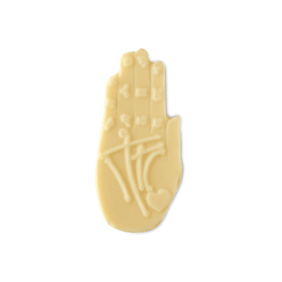 Palm Reader